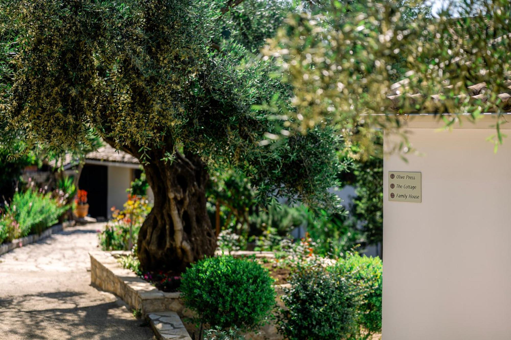 Nissaki Olive Press Villas Νησάκι Εξωτερικό φωτογραφία