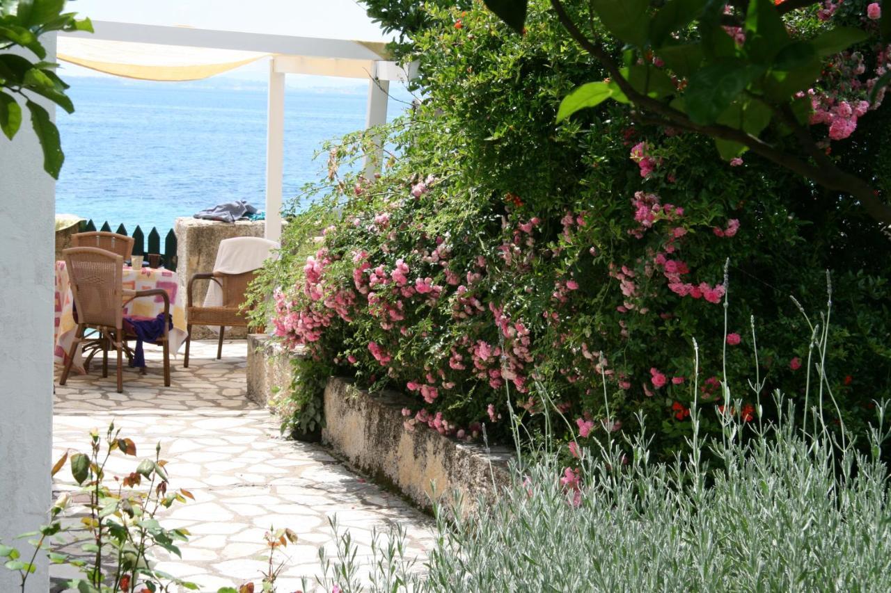 Nissaki Olive Press Villas Νησάκι Εξωτερικό φωτογραφία